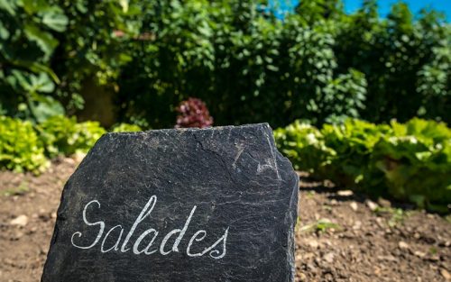 Organic Vegetable Garden and Sign